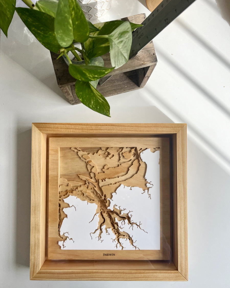 30cm X 30cm Custom Maps