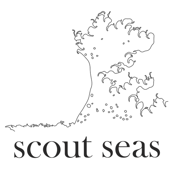 Scout Seas